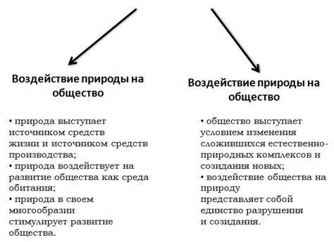 Как шипперинг влияет на общество