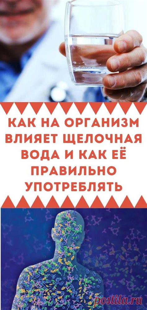 Как щелочная пища влияет на организм