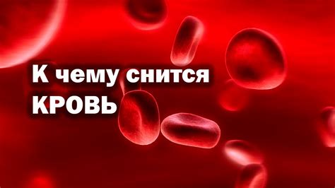 Канюля и кровь во сне: предвестники и криптографы характеристик будущего