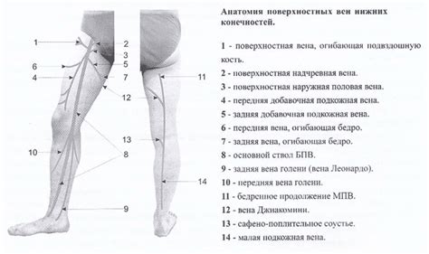 Картина и осмысление снов о брате, лишенном нижних конечностей