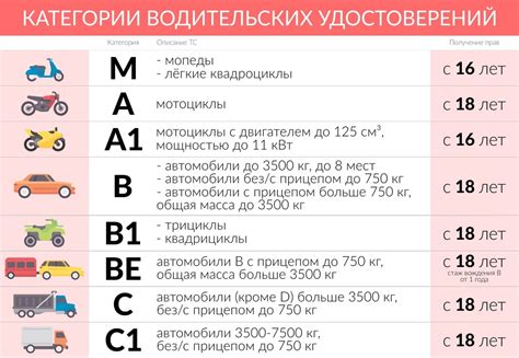 Категория С: описание и особенности