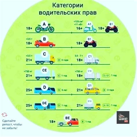 Категория B, B1 и ATAS: полное понимание прав и требований