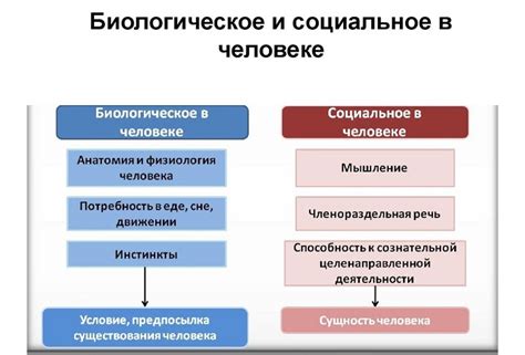 Качества и признаки