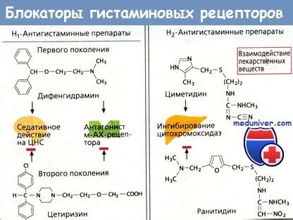 Классификация гистаминовых рецепторов