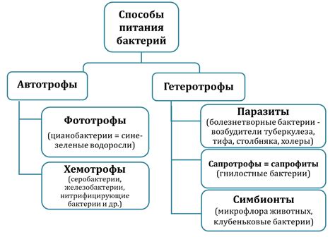 Классификация и типы кэшей