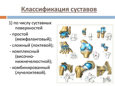 Классификация одноосных суставов