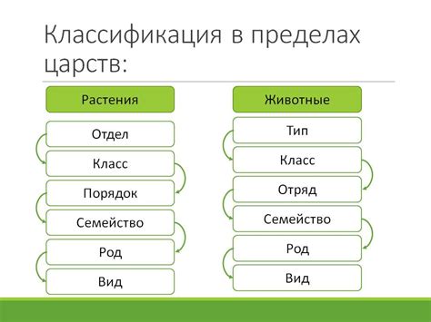 Классификация понятийного аппарата в биологии