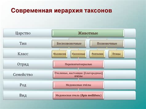 Классификация природы мира