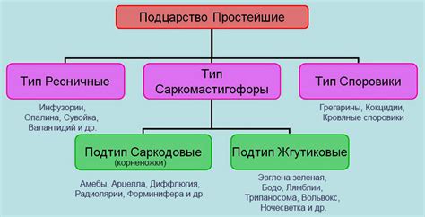 Классификация простейших организмов