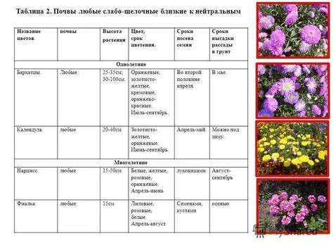 Классификация семян: однолетние и многолетние газоны