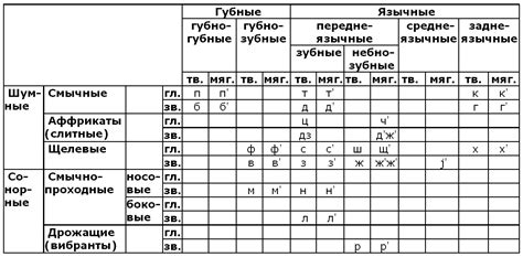 Классификация согласных звуков