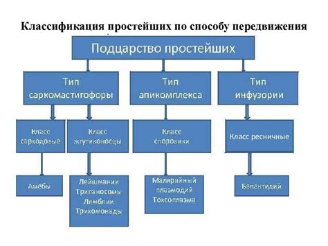 Классификация соисполнителей: виды и различия