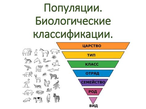 Классификация терминов в биологии