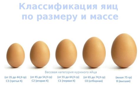 Классификация яиц