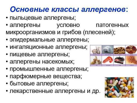 Классы аллергенов: основные понятия