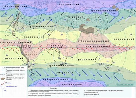 Климатические условия и сезонные миграции