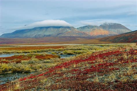 Климат в тундре