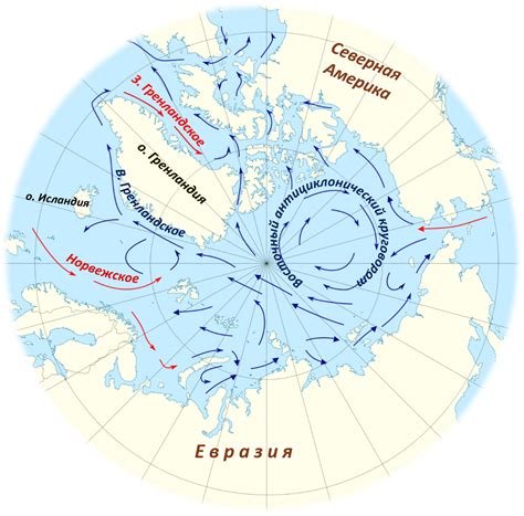 Климат и экология Северного моря: особенности и уникальность