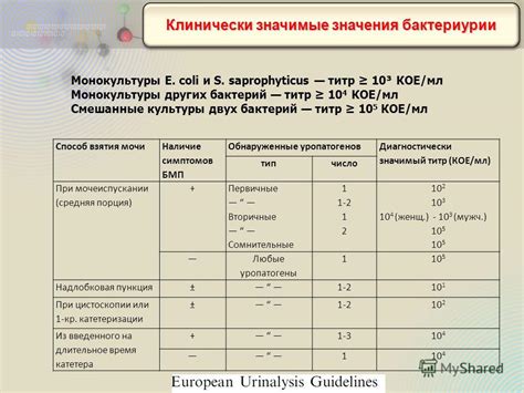 Клинически значимый титр: определение и значение