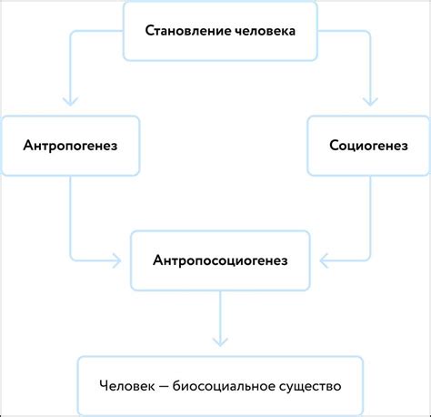 Ключевые понятия и их значения