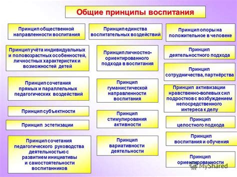 Ключевые принципы воспитания отпрыска