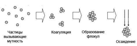 Коагуляция белка: процесс и механизм