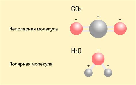 Ковалентная связь: как она работает и примеры