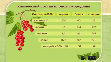 Когда давать черную смородину ребенку?