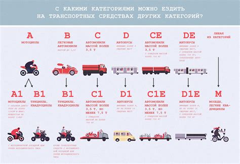 Когда можно начать водить мопед в России?