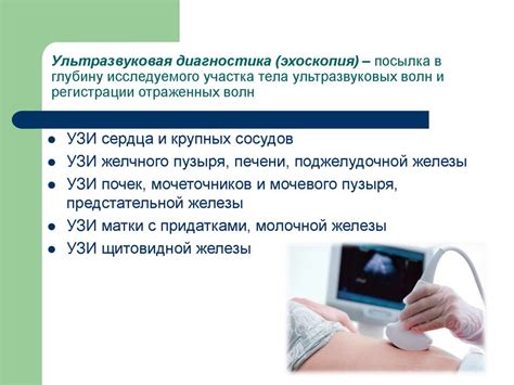 Когда назначается эхоскопия: показания и области применения