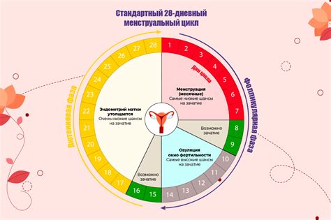 Когда понос при месячных требует визита к врачу