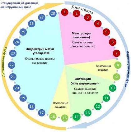 Когда стоит обратиться к врачу при двухдневных месячных