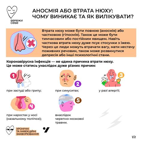 Когда теряется способность обоняния: какие факторы влияют и что происходит?