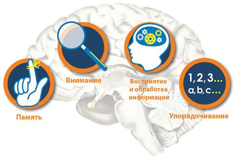 Когнитивные реакции влияют на восприятие