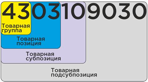 Код ТНВЭД: руководство по использованию и значение