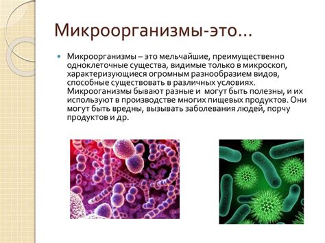 Количество микроорганизмов и его значение