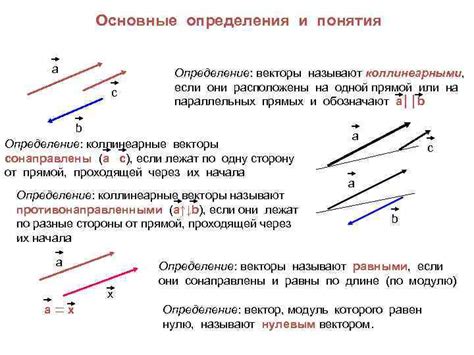 Коллинеарные векторы: основные понятия и определение