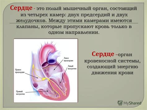 Кололо сердце: что это значит?