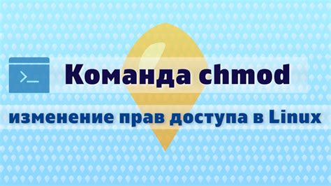 Команда chmod и ее назначение