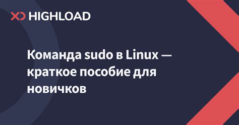 Команда sudo mkdir в Linux: краткое описание и примеры использования