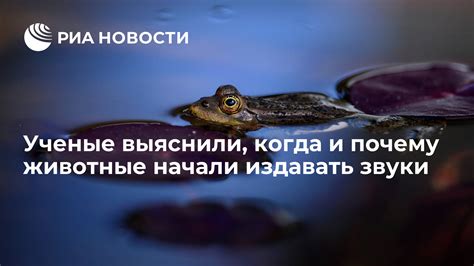 Коммуникация через звуки