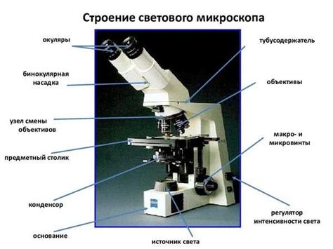 Компенсационный окуляр: принципы работы и преимущества