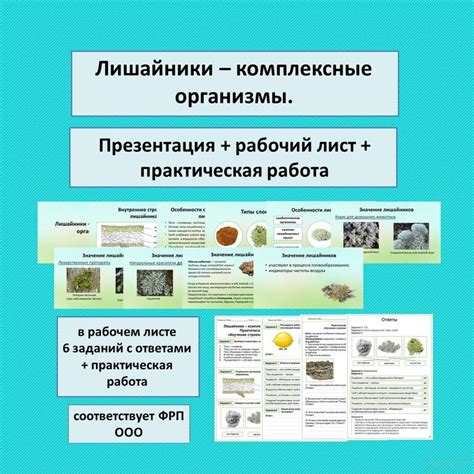 Комплексные организмы: определение и характеристики