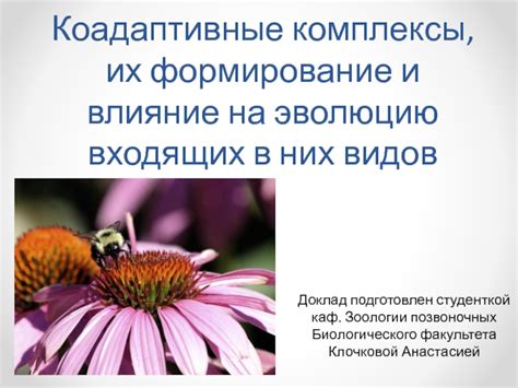 Комплексы и их влияние