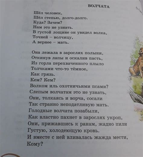 Композиция в стихотворении: значение и важность