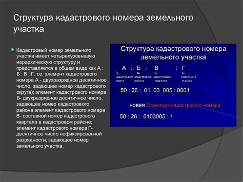 Кому обратиться для присвоения кадастрового номера земельному участку?