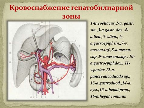 Консервативное и оперативное лечение бескаменного холецистита