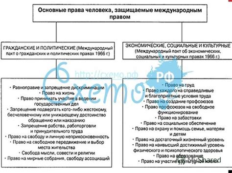 Конституционные основы прав и свобод