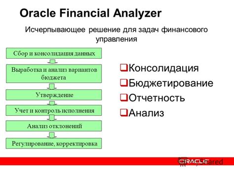 Контроль и корректировка бюджета: важность системы отчетности