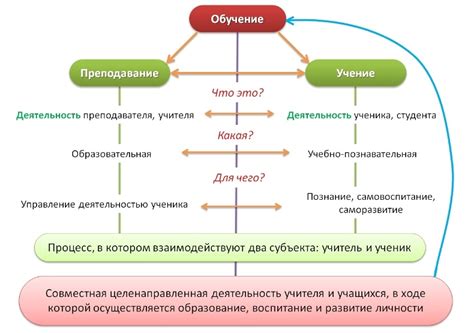 Концепция четверного обучения